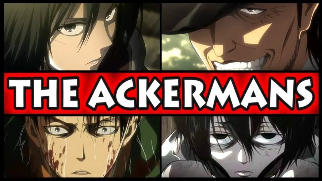 The Ackermans