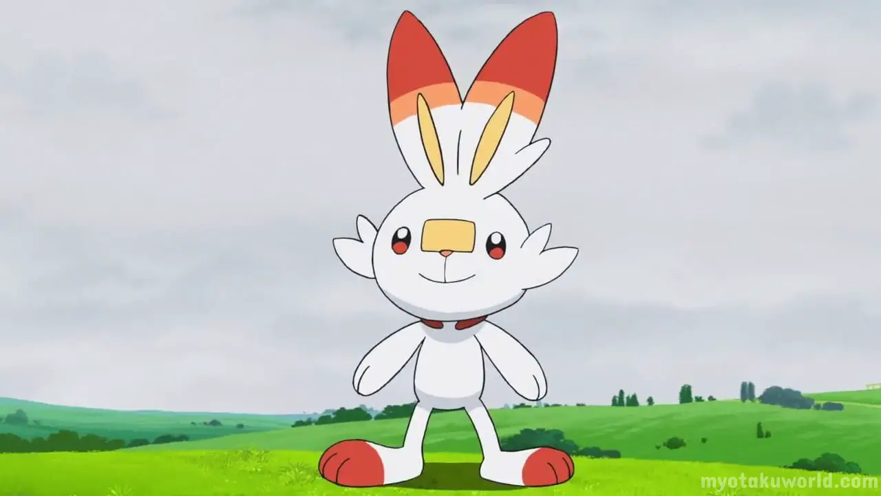 Rabbit Type Pokémon