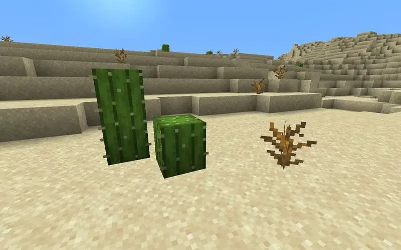 Minecraft Desert