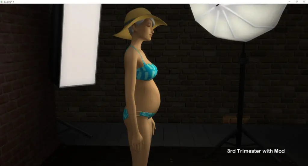 preganancy overhaul mod 18 Best Pregnancy Mods For Sims 4