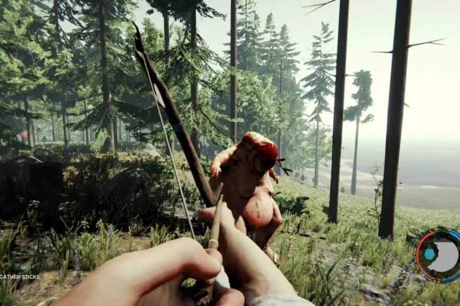 The Forest