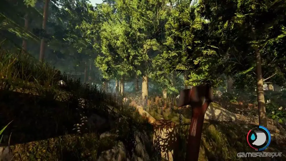 the forest gameplay