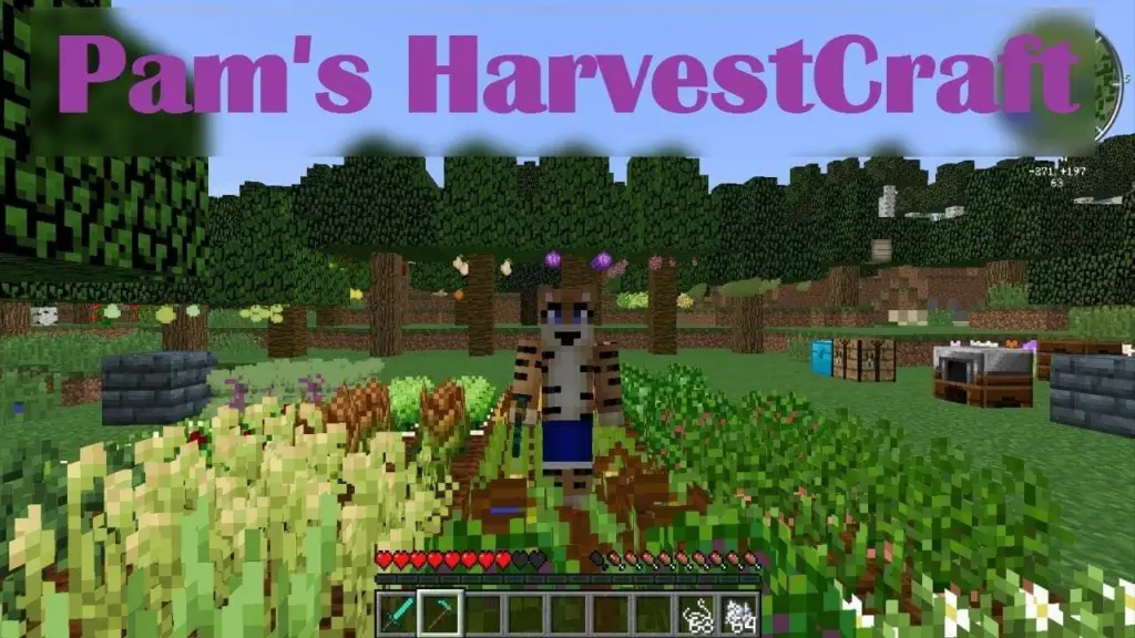 Pam's HarvestCraft