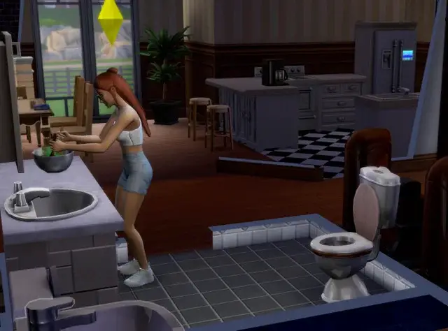 dont cook where you poop sims mod