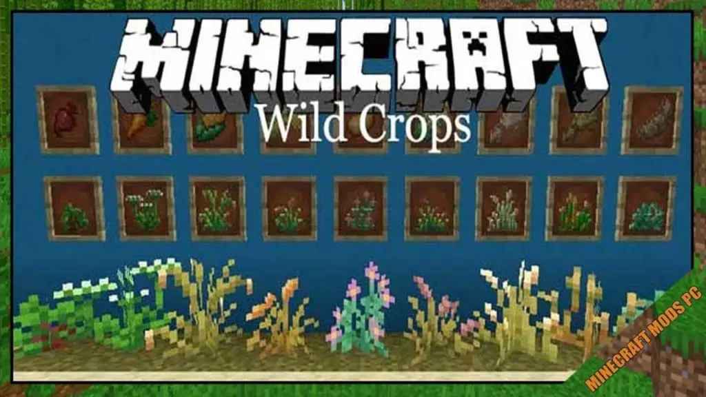wild crops modmc
