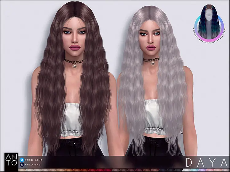 Daya Hairstyle