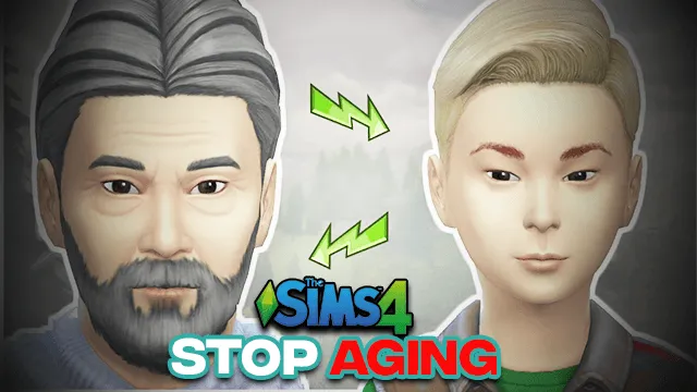 Stop Aging Cheat