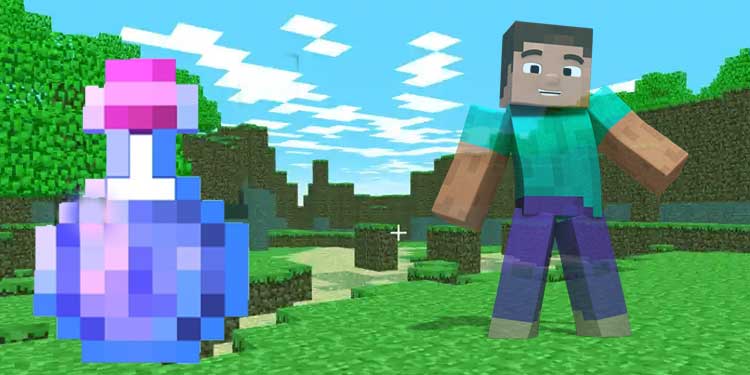 Minecraft Invisibility Potions