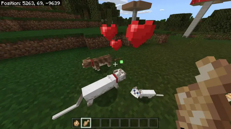 How to Breed Cats in MinecraftT 1