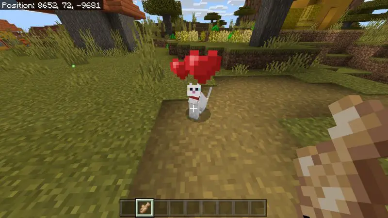 How to get a Cat in Minecraft 2
