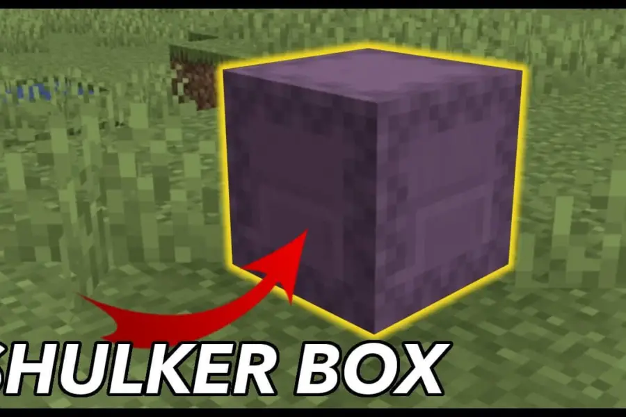 Shulker Box Minecraft 1