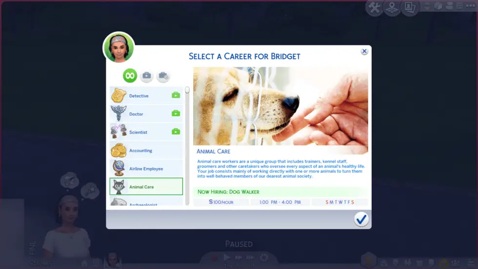 animal care career