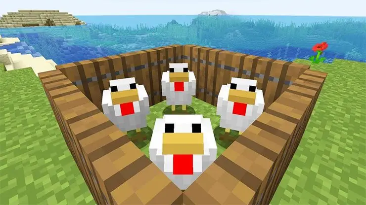 chicken in minecraft da4e