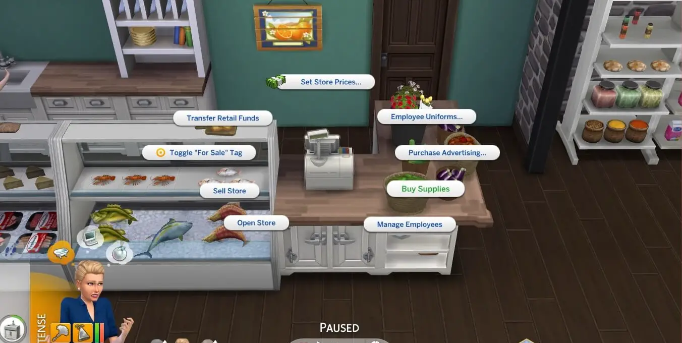 The Sims 4 Grocery Mod