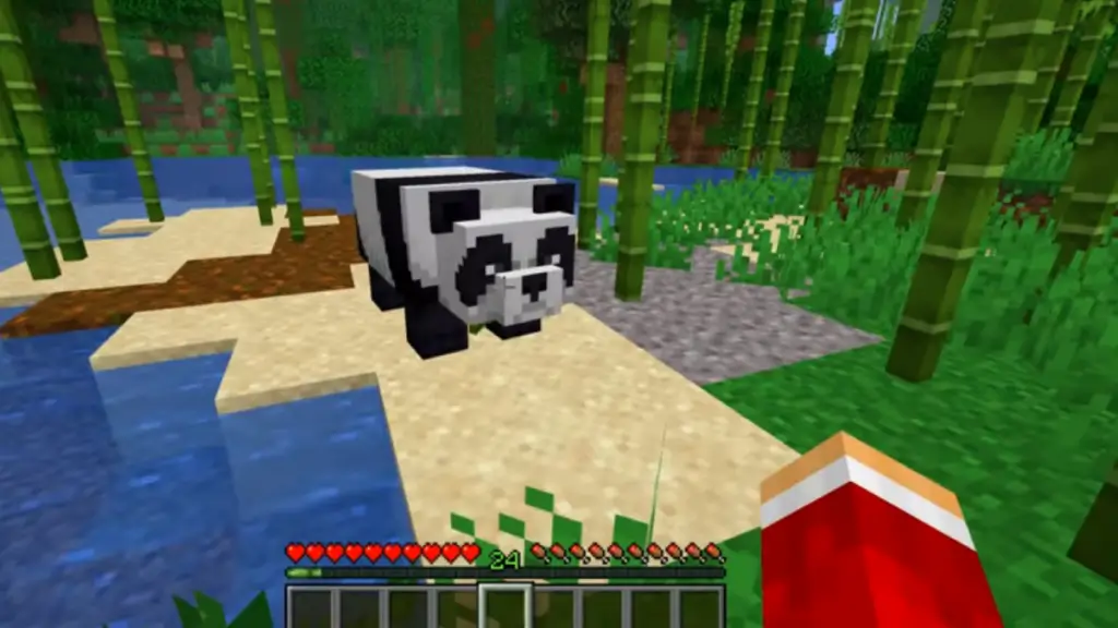 luring a panda
