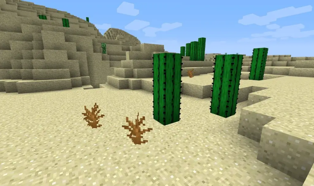 minecraft cactus desert 1
