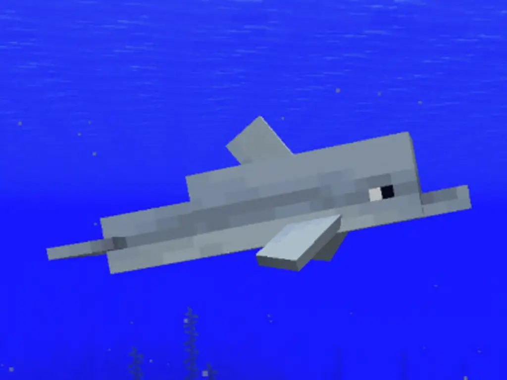 minecraft dolphin