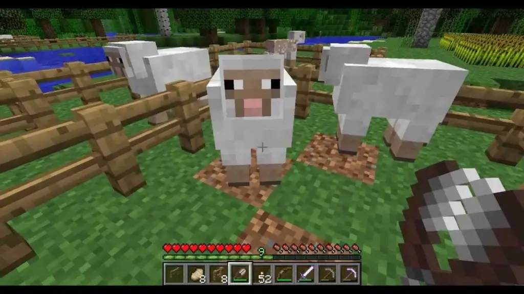 minecraft sheep