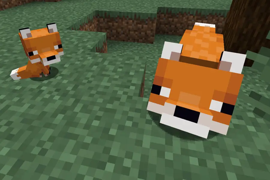 Minecraft How to Tame a Fox