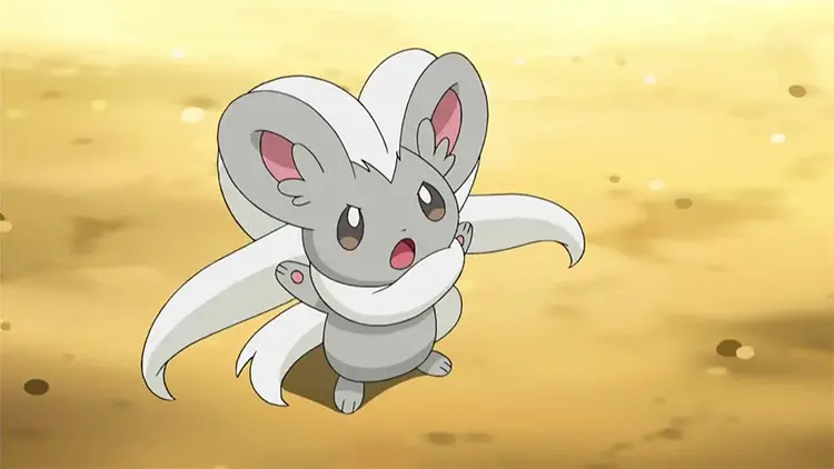 06 minccino pokemon anime 15 Cute Feminine & Girly Pokémon