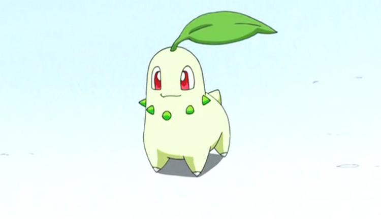 08 chikorita pokemon anime screenshot