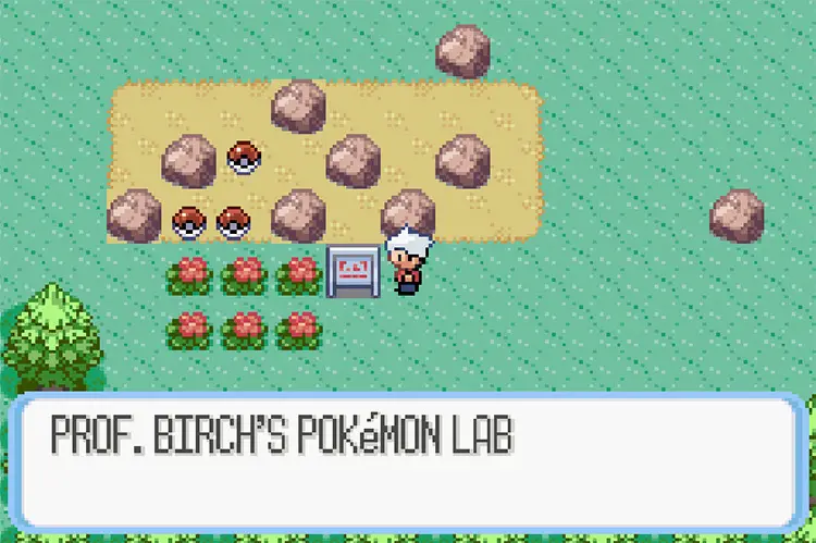 14 pokemon snakewood rom hacks 15 Hardest Pokemon ROM Hacks