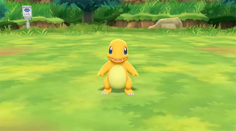 19 shiny charmander pokemon lets go
