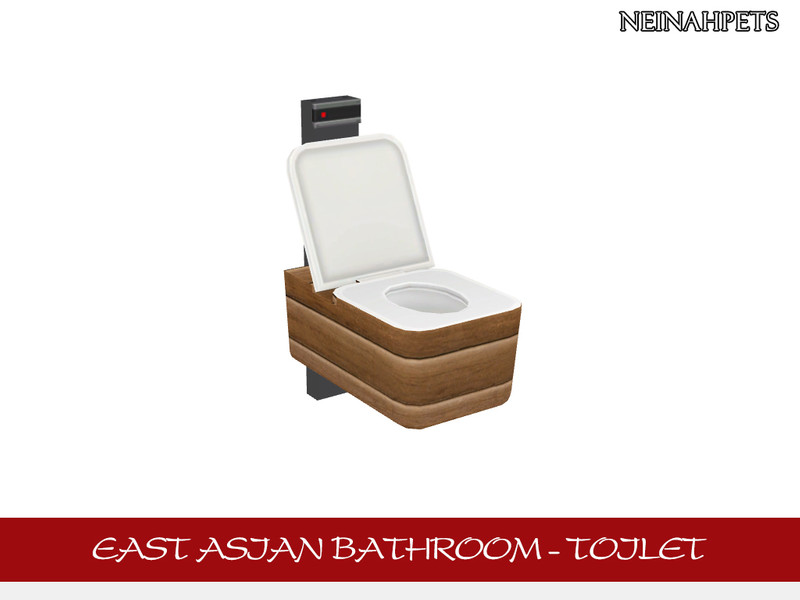 East Asian Bathroom Toilet