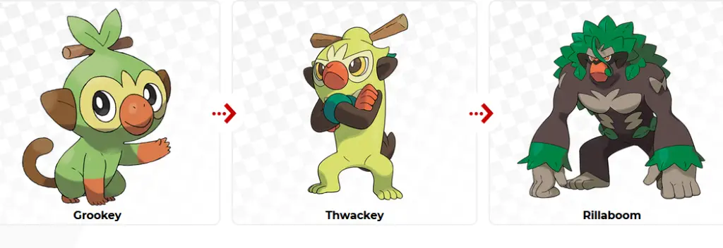 Grookey Thwackey Rillaboom