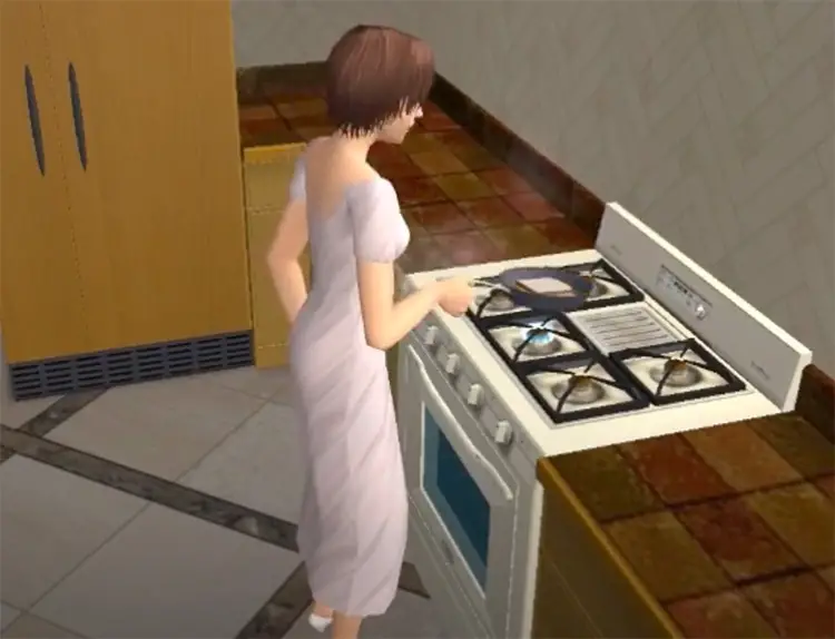 26 sims2 modded cooking 1