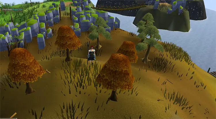 Best Maple Tree Spots In OSRS - Gaming - MOW