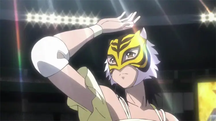 18 tiger mask w anime