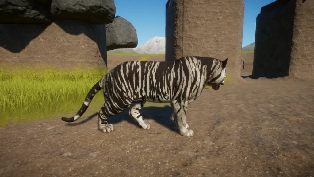 Realistic Melanistic Tiger 7