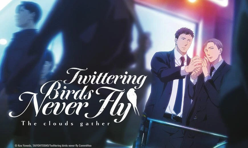 Twittering Birds Never