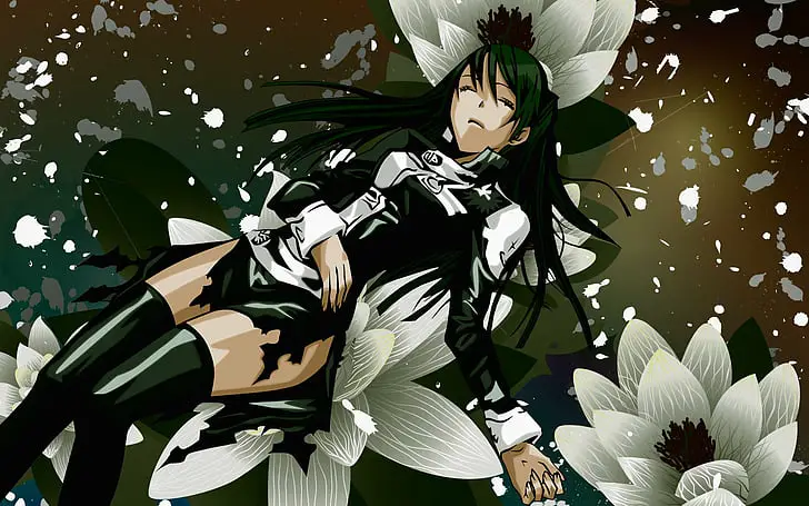 anime d gray man lenalee lee wallpaper preview 1