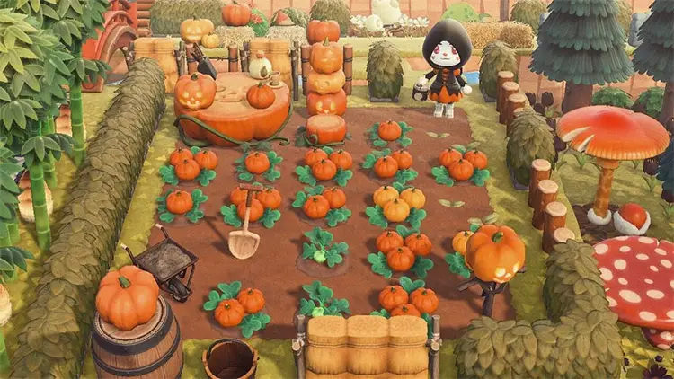03 spooky pumpkin patch farm acnh