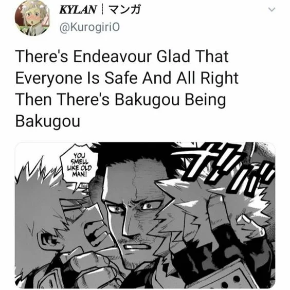 150+ New & Funny My Hero Academia Memes - My Otaku World