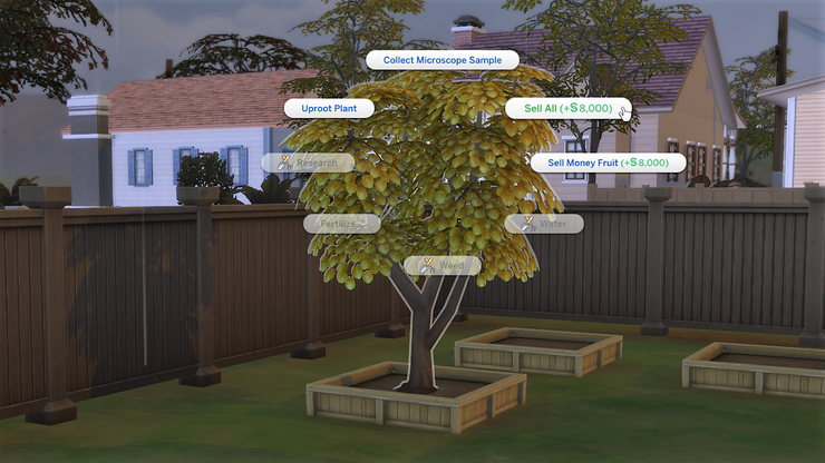 Harvest Money Tree Sims 4