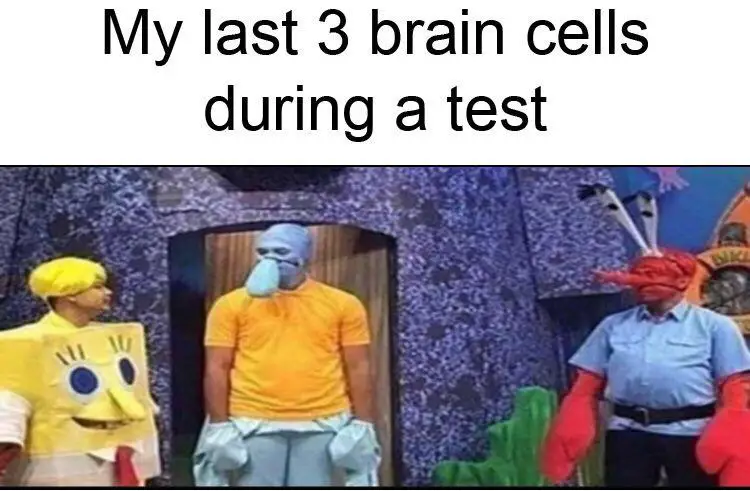 017 mr krabs braincells meme