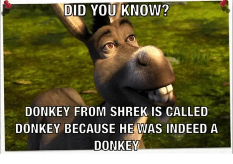 024 shrek donkey meme