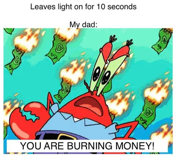 030 mr krabs burning me money