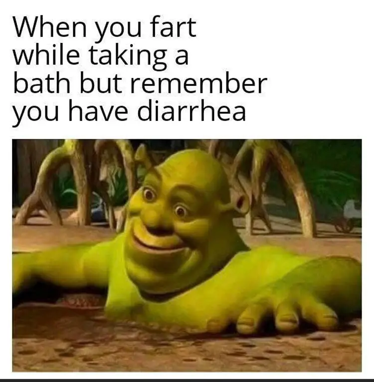 041 shrek diarrhea meme