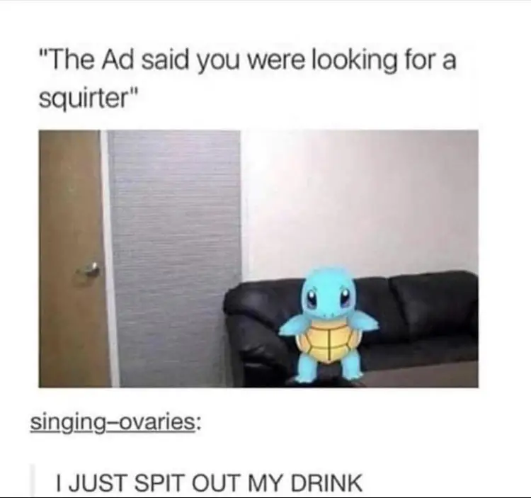 048 pokemon squirter squirtle meme