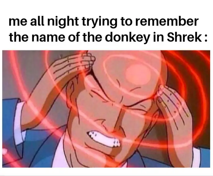 056 shrek donkey meme
