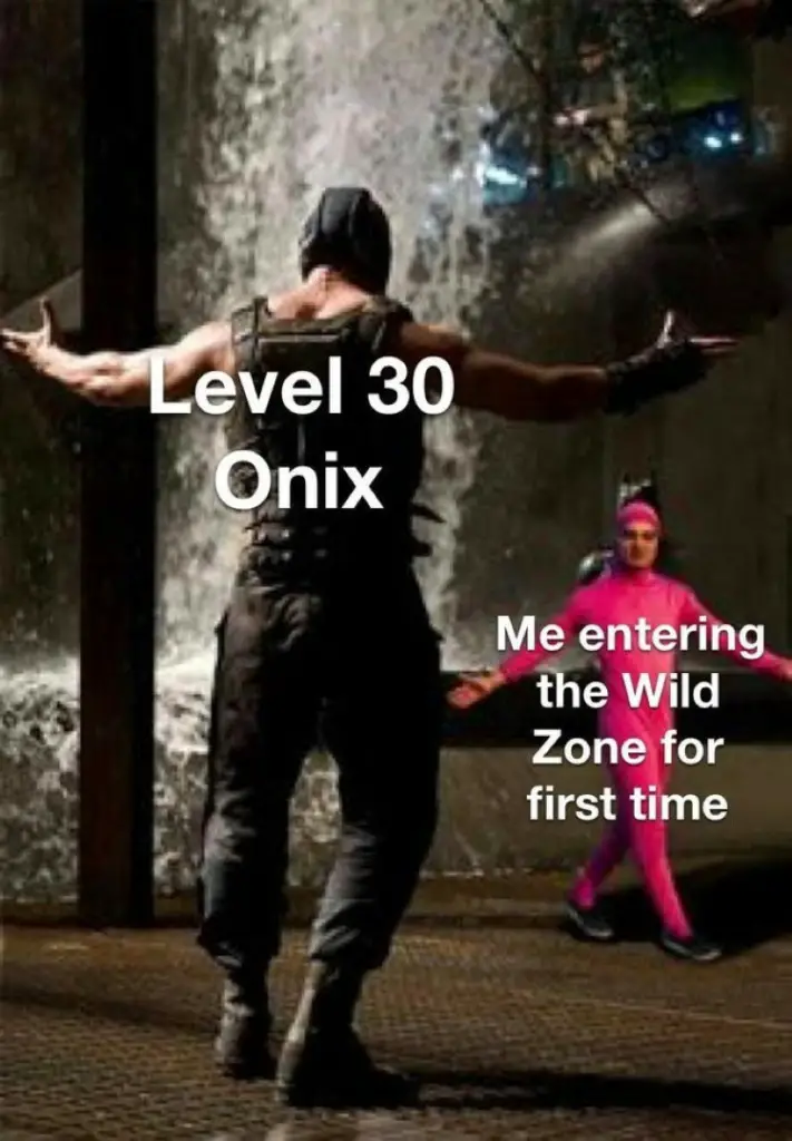 062 pokemon level 30 onix meme 1