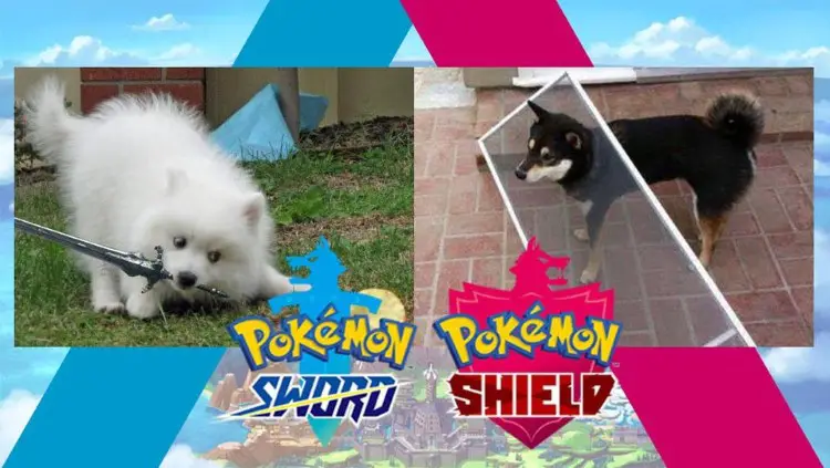 074 pokemon sword shield meme