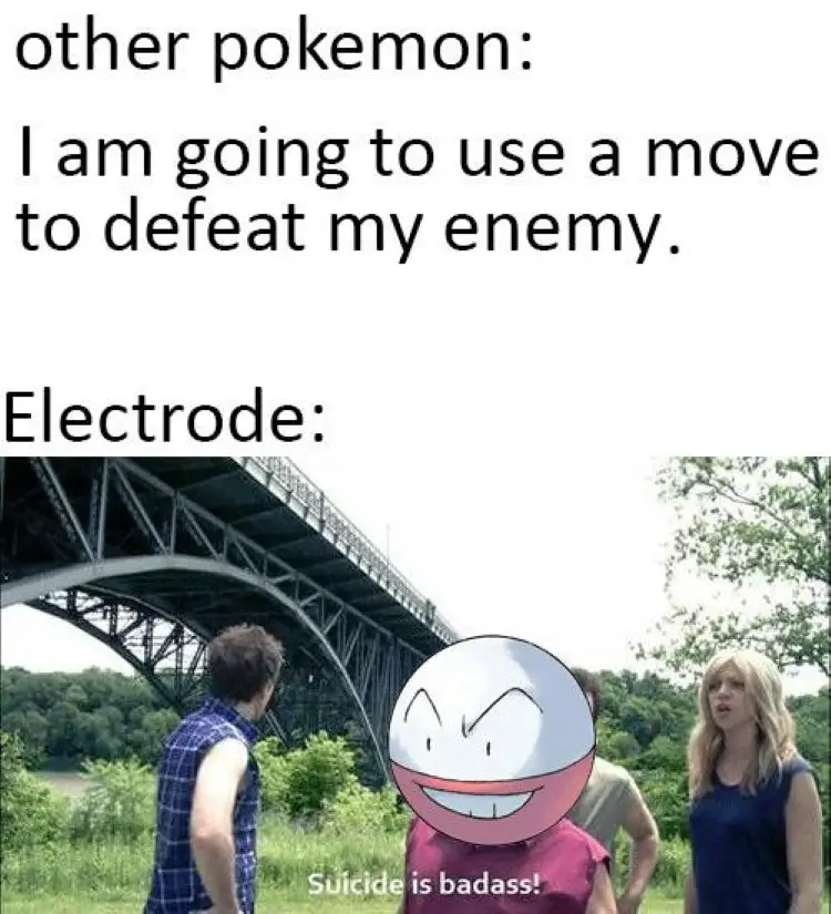 090 pokemon electrode meme 1