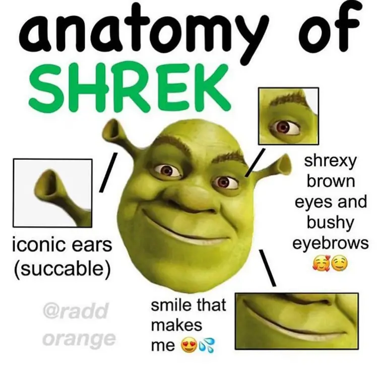 092 shrek anatomy meme