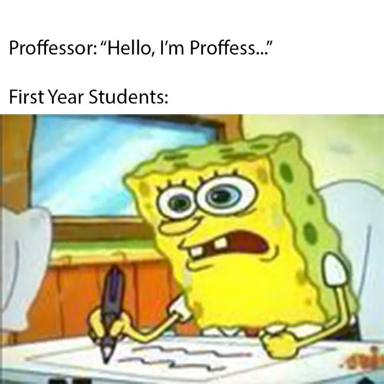 109 spongebob university meme