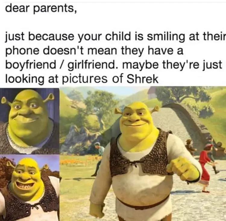 126 shrek parent meme